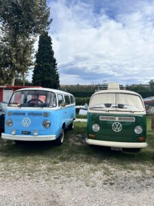 schone Bullies – Bild 1
